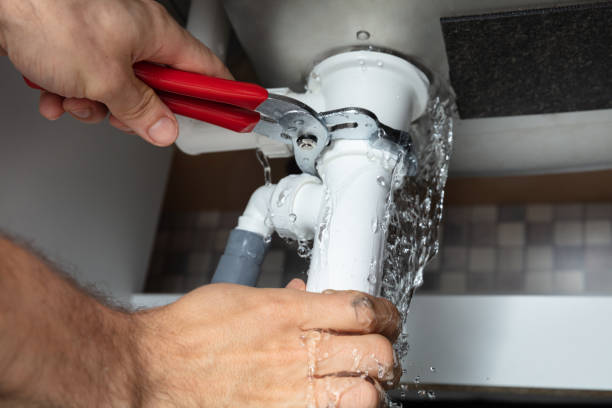 Best Ceiling water damage repair  in Kendale Lakes, FL