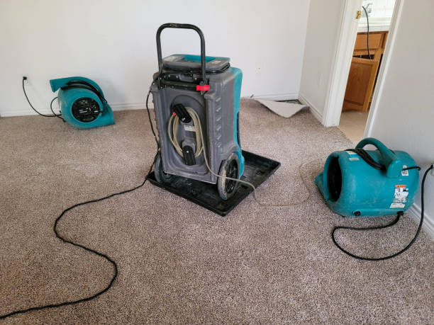 Best Water damage restoration specialists  in Kendale Lakes, FL