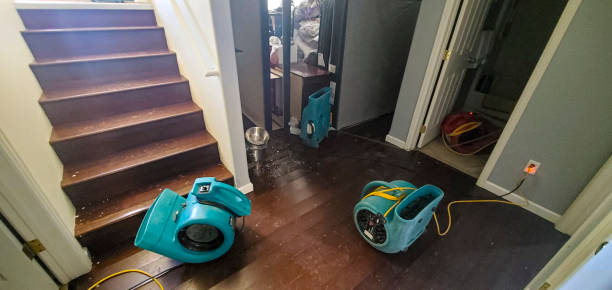 Best Residential water damage restoration  in Kendale Lakes, FL