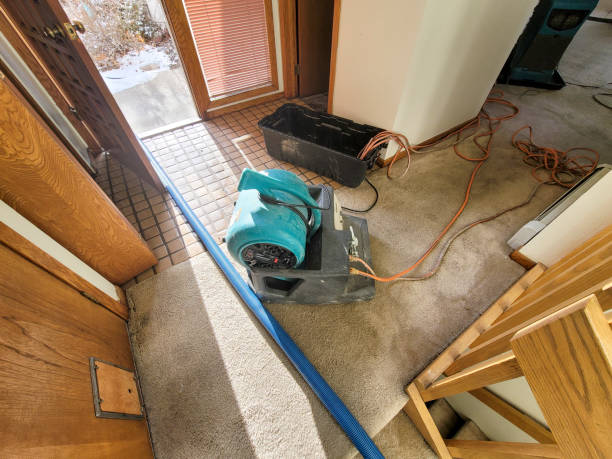 Best Emergency water damage restoration  in Kendale Lakes, FL