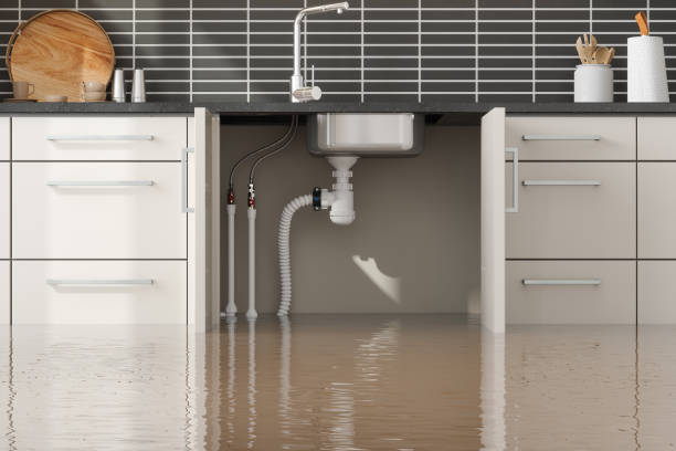 Best Residential water damage restoration  in Kendale Lakes, FL