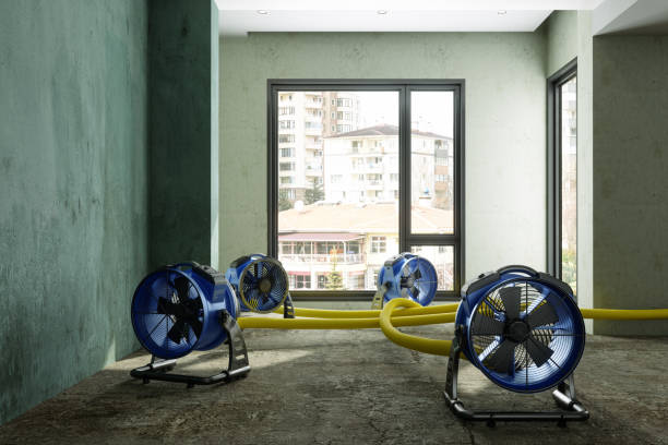 Best Sewage cleanup and water damage restoration  in Kendale Lakes, FL